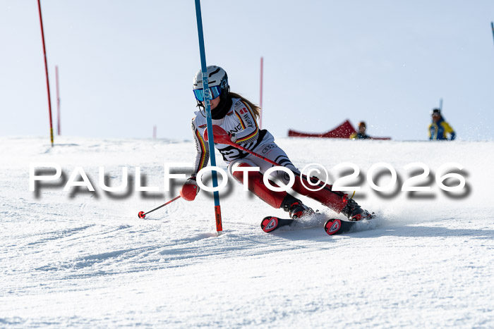 FIS Slalom  Damen + NJC FIS Herren 08.03.2026