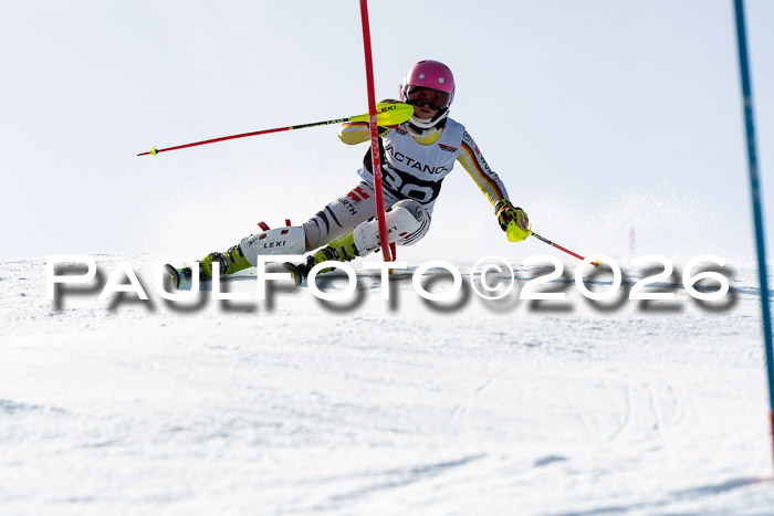 FIS Slalom  Damen + NJC FIS Herren 08.03.2026