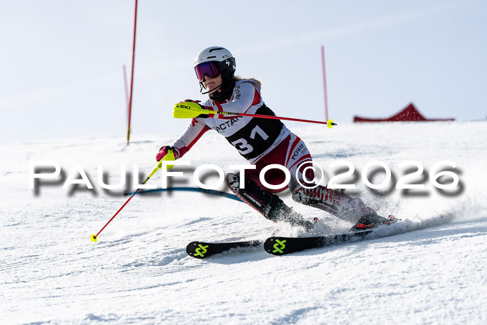 FIS Slalom  Damen + NJC FIS Herren 08.03.2026