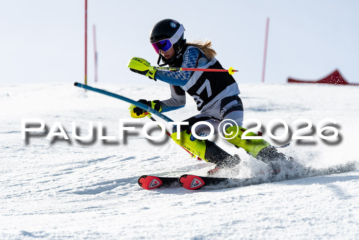 FIS Slalom  Damen + NJC FIS Herren 08.03.2026