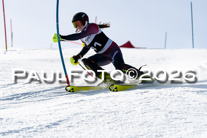 FIS Slalom  Damen + NJC FIS Herren 08.03.2026