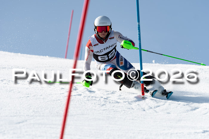 FIS Slalom  Damen + NJC FIS Herren 08.03.2026