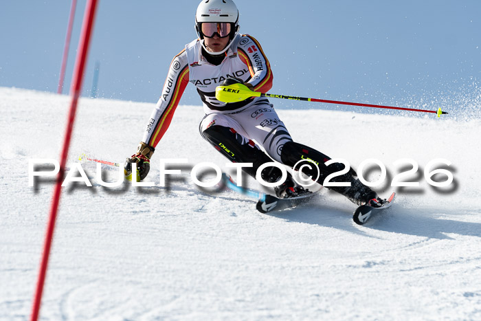 FIS Slalom  Damen + NJC FIS Herren 08.03.2026