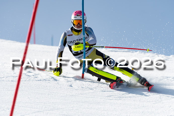 FIS Slalom  Damen + NJC FIS Herren 08.03.2026