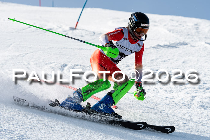 FIS Slalom  Damen + NJC FIS Herren 08.03.2026