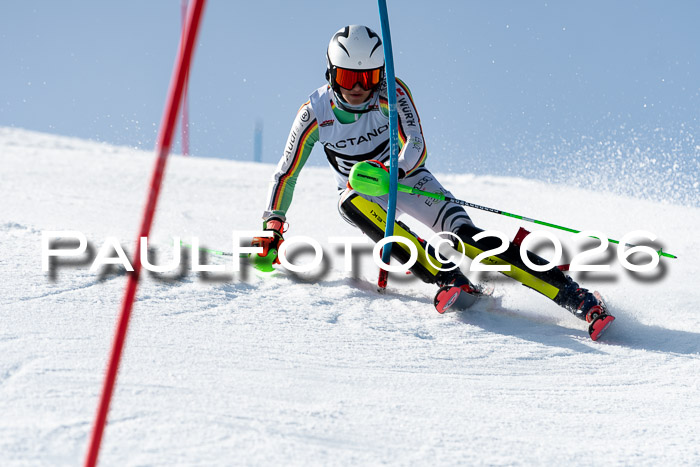 FIS Slalom  Damen + NJC FIS Herren 08.03.2026