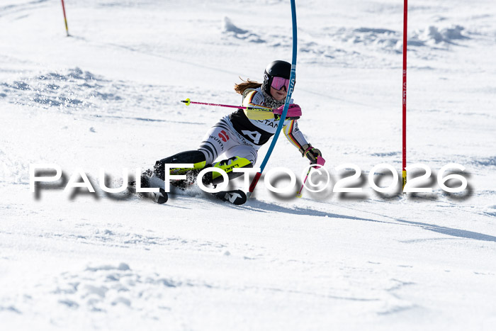 FIS Slalom  Damen + NJC FIS Herren 08.03.2026