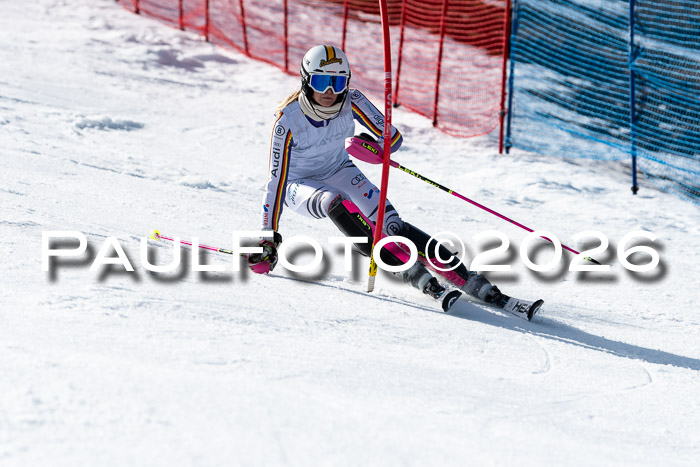 FIS Slalom  Damen + NJC FIS Herren 08.03.2026