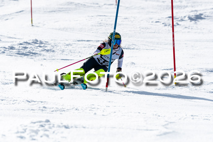 FIS Slalom  Damen + NJC FIS Herren 08.03.2026