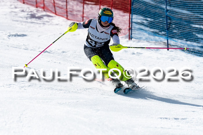 FIS Slalom  Damen + NJC FIS Herren 08.03.2026