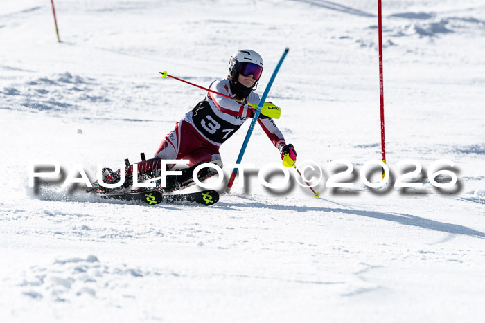 FIS Slalom  Damen + NJC FIS Herren 08.03.2026