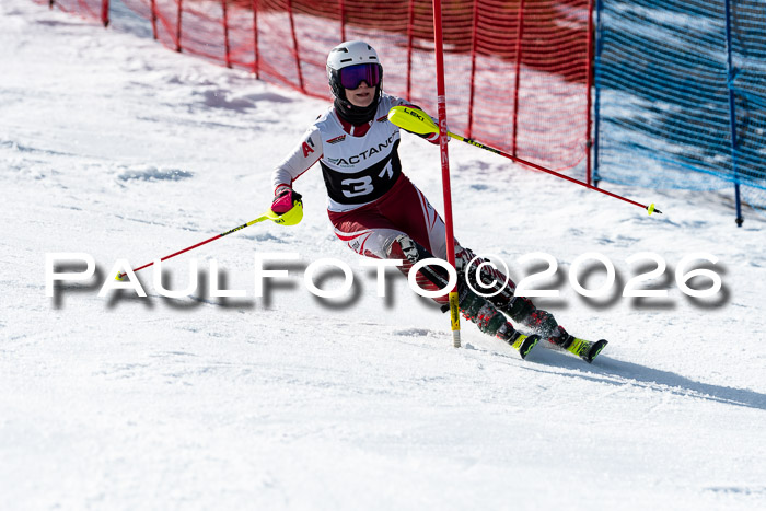 FIS Slalom  Damen + NJC FIS Herren 08.03.2026