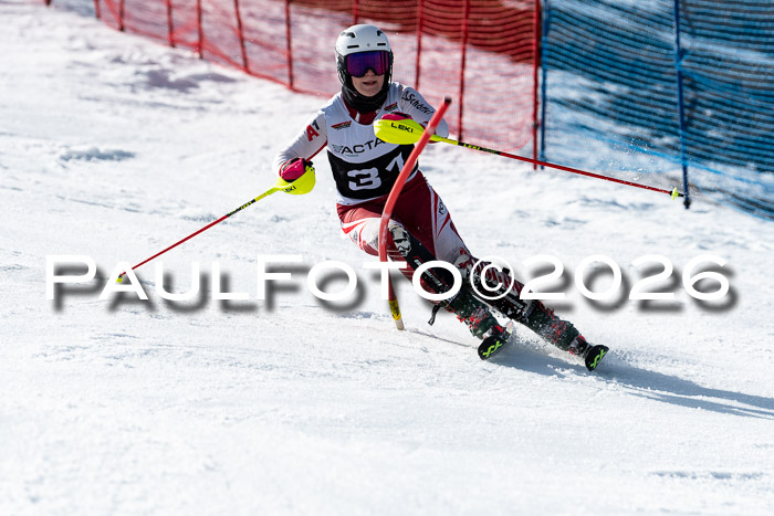 FIS Slalom  Damen + NJC FIS Herren 08.03.2026