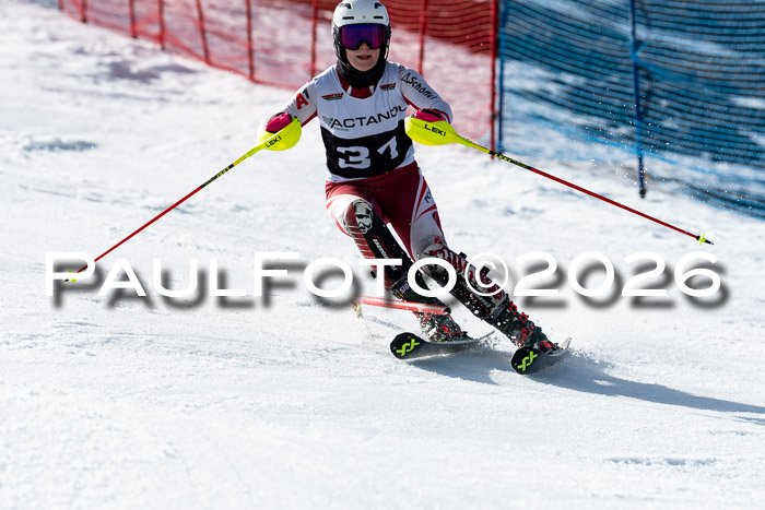 FIS Slalom  Damen + NJC FIS Herren 08.03.2026