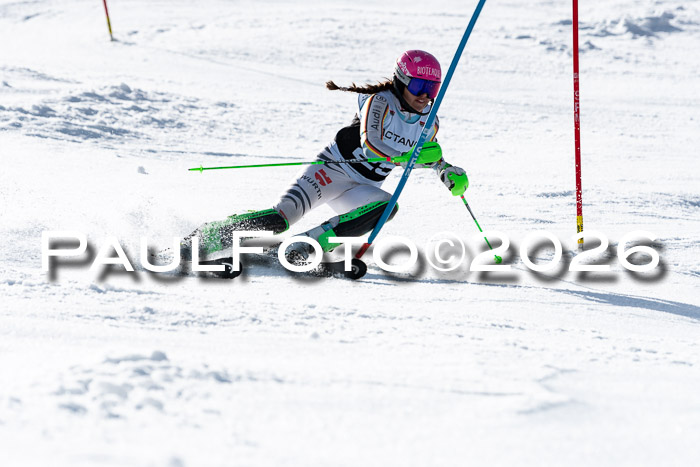 FIS Slalom  Damen + NJC FIS Herren 08.03.2026