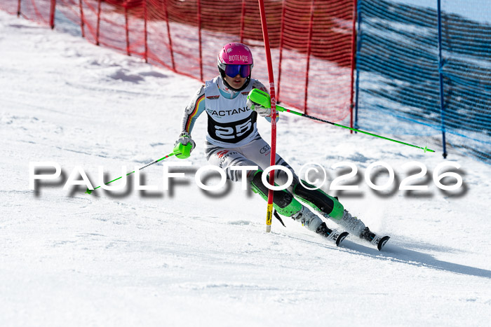 FIS Slalom  Damen + NJC FIS Herren 08.03.2026