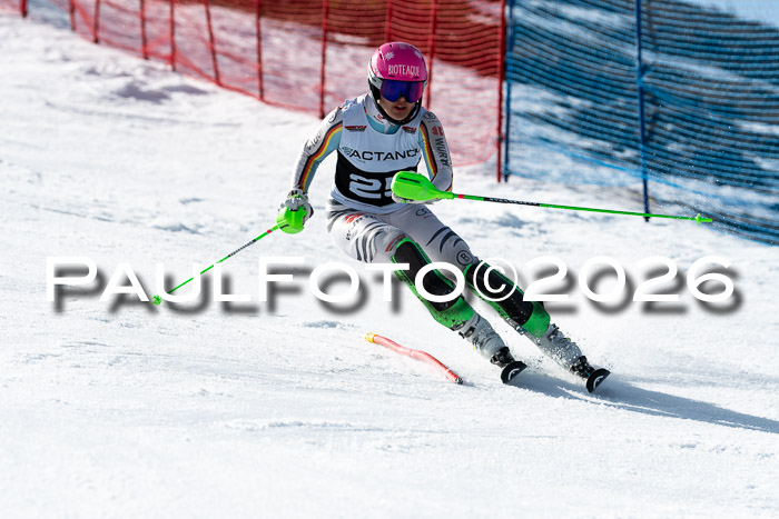 FIS Slalom  Damen + NJC FIS Herren 08.03.2026