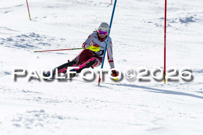 FIS Slalom  Damen + NJC FIS Herren 08.03.2026