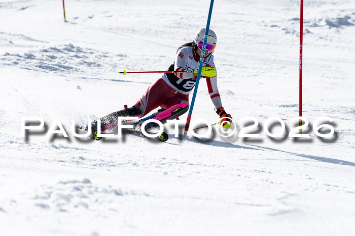 FIS Slalom  Damen + NJC FIS Herren 08.03.2026