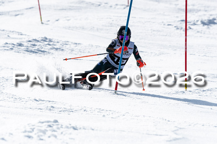 FIS Slalom  Damen + NJC FIS Herren 08.03.2026
