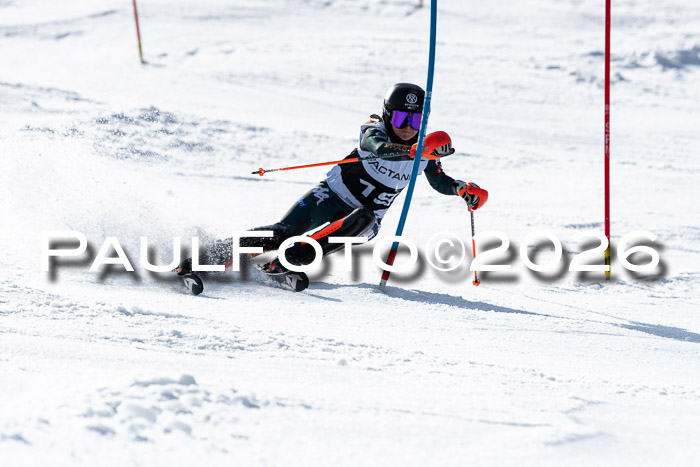 FIS Slalom  Damen + NJC FIS Herren 08.03.2026