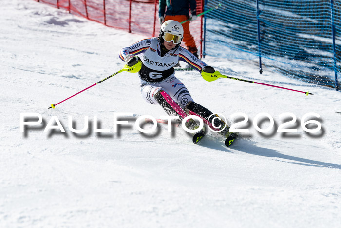 FIS Slalom  Damen + NJC FIS Herren 08.03.2026