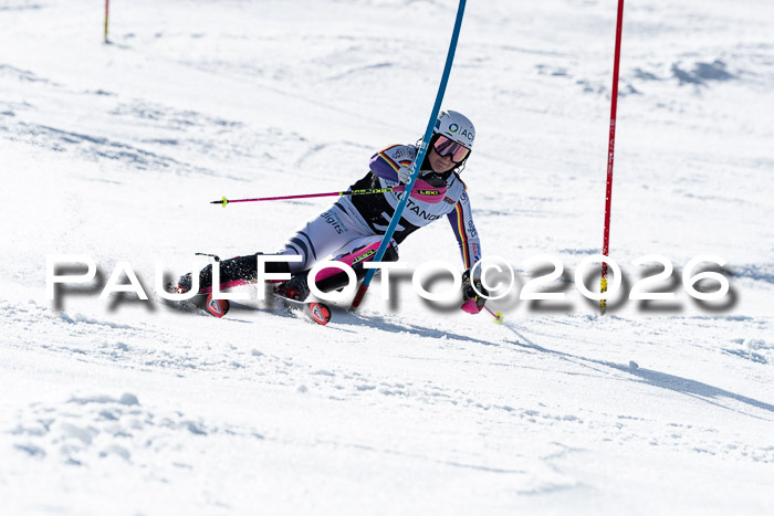 FIS Slalom  Damen + NJC FIS Herren 08.03.2026