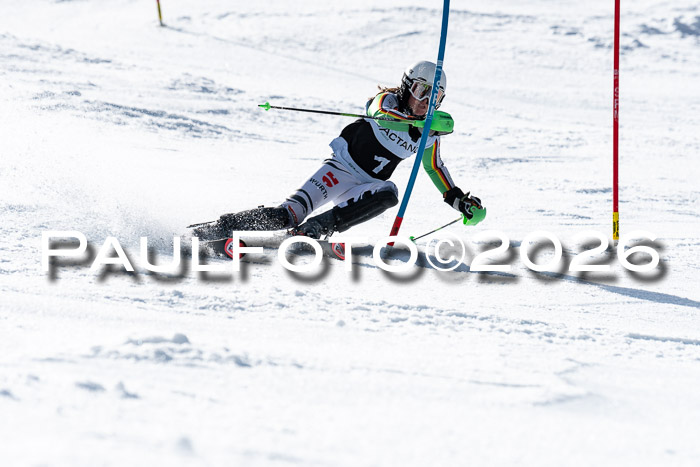 FIS Slalom  Damen + NJC FIS Herren 08.03.2026