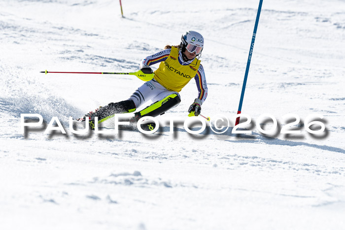 FIS Slalom  Damen + NJC FIS Herren 08.03.2026