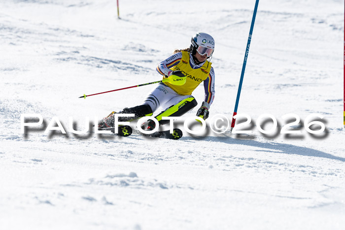 FIS Slalom  Damen + NJC FIS Herren 08.03.2026