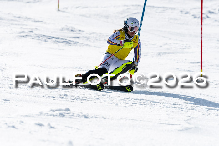 FIS Slalom  Damen + NJC FIS Herren 08.03.2026
