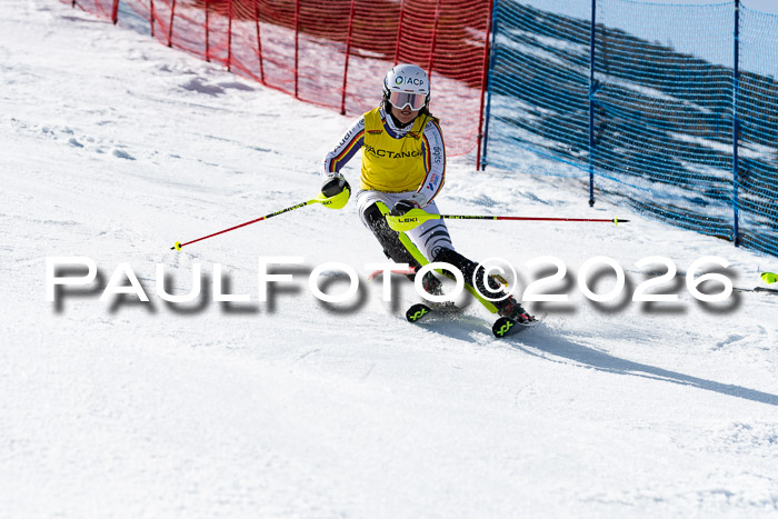 FIS Slalom  Damen + NJC FIS Herren 08.03.2026