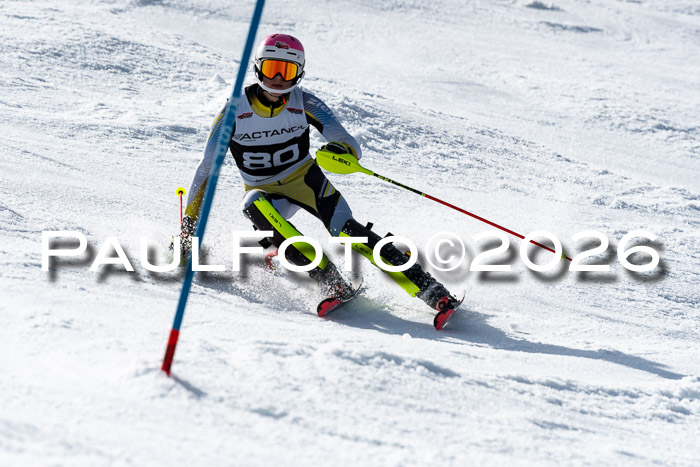 FIS Slalom  Damen + NJC FIS Herren 08.03.2026