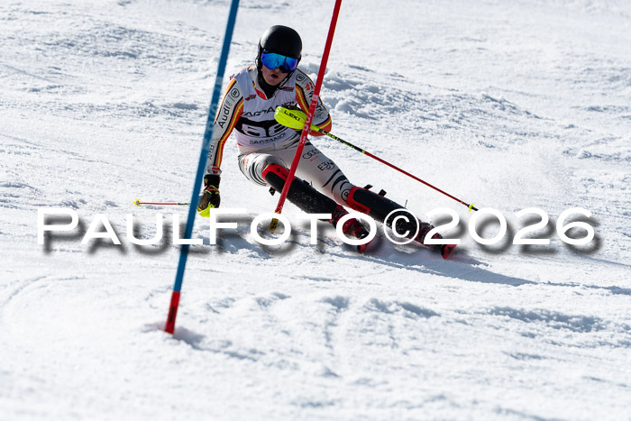FIS Slalom  Damen + NJC FIS Herren 08.03.2026
