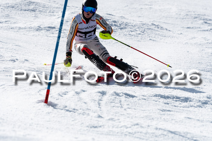 FIS Slalom  Damen + NJC FIS Herren 08.03.2026