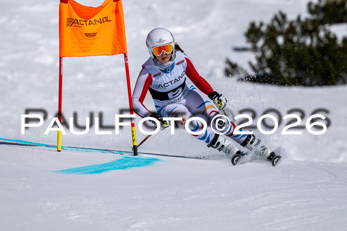 DSV - Actanol Deutscher Schülercup U12 Finale RSX 2026
