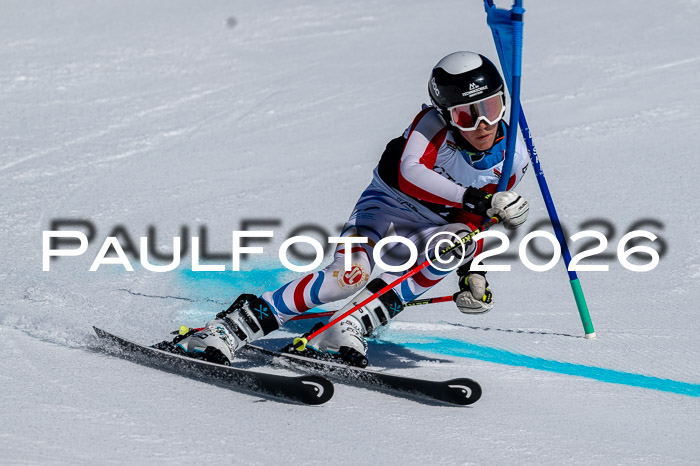 DSV - Actanol Deutscher Schülercup U12 Finale RSX 2026