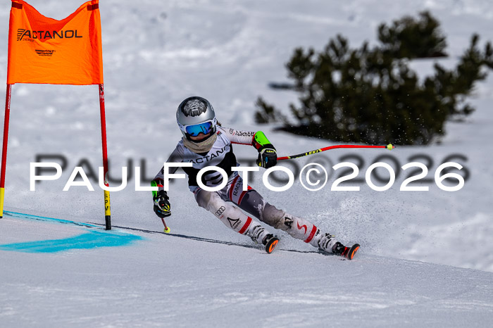 DSV - Actanol Deutscher Schülercup U12 Finale RSX 2026