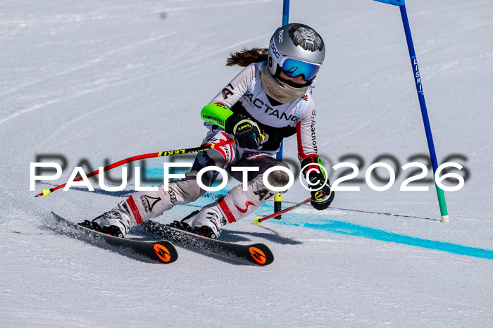DSV - Actanol Deutscher Schülercup U12 Finale RSX 2026