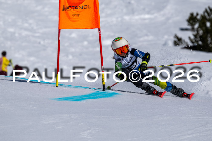 DSV - Actanol Deutscher Schülercup U12 Finale RSX 2026