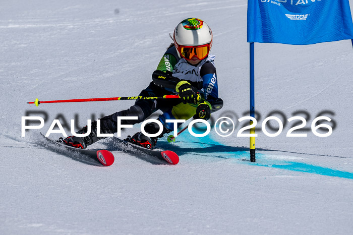 DSV - Actanol Deutscher Schülercup U12 Finale RSX 2026