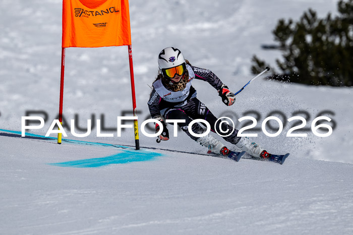 DSV - Actanol Deutscher Schülercup U12 Finale RSX 2026