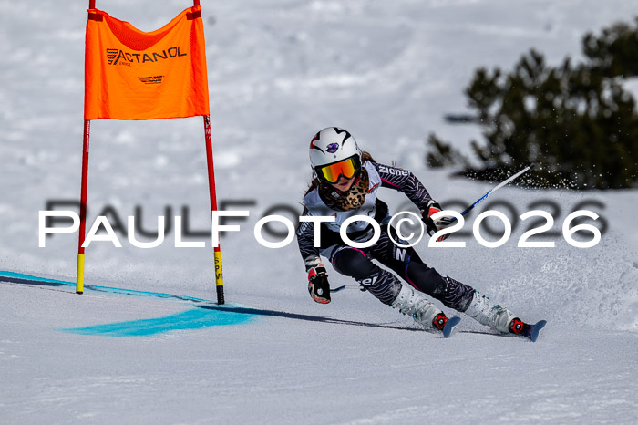 DSV - Actanol Deutscher Schülercup U12 Finale RSX 2026