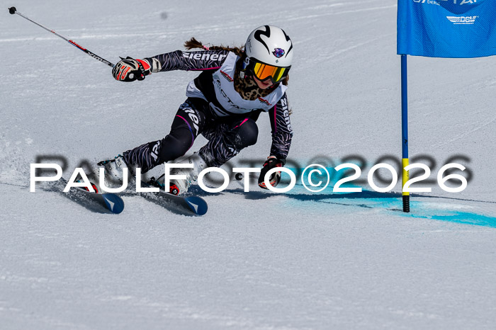 DSV - Actanol Deutscher Schülercup U12 Finale RSX 2026