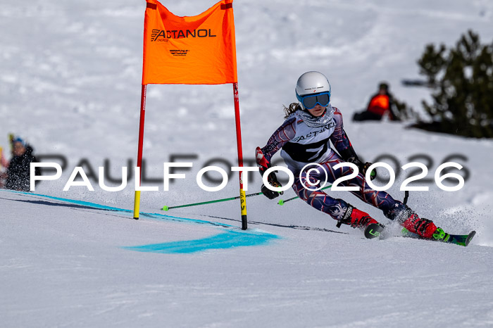 DSV - Actanol Deutscher Schülercup U12 Finale RSX 2026