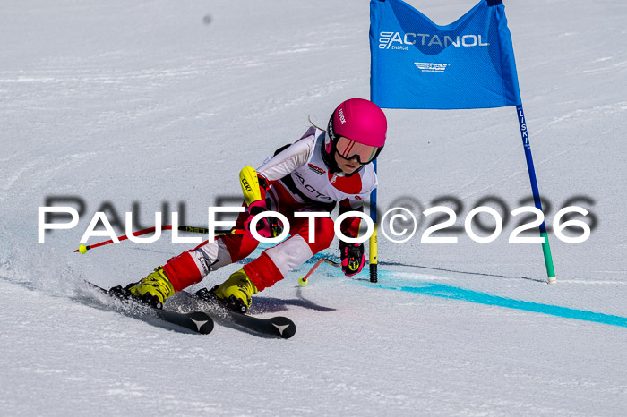 DSV - Actanol Deutscher Schülercup U12 Finale RSX 2026