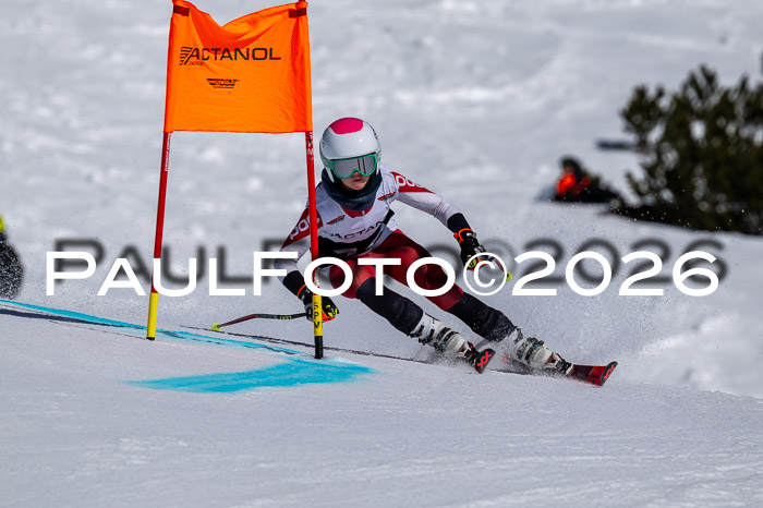 DSV - Actanol Deutscher Schülercup U12 Finale RSX 2026