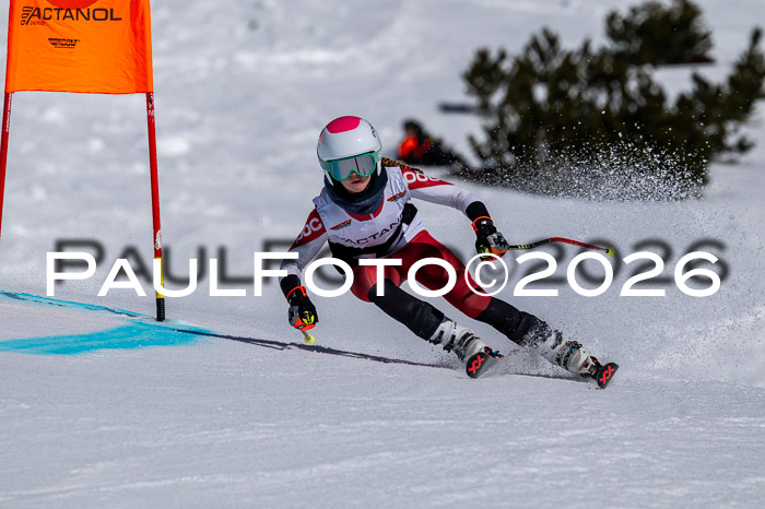 DSV - Actanol Deutscher Schülercup U12 Finale RSX 2026