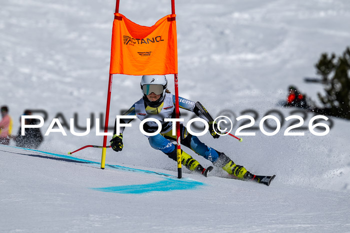 DSV - Actanol Deutscher Schülercup U12 Finale RSX 2026