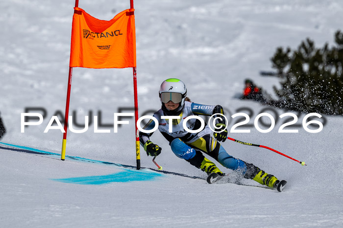 DSV - Actanol Deutscher Schülercup U12 Finale RSX 2026